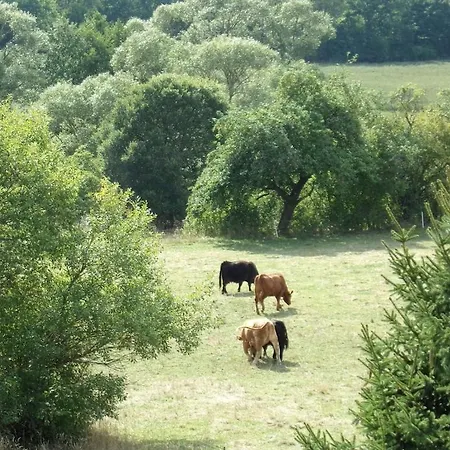 Ederauenblick * Dodenau